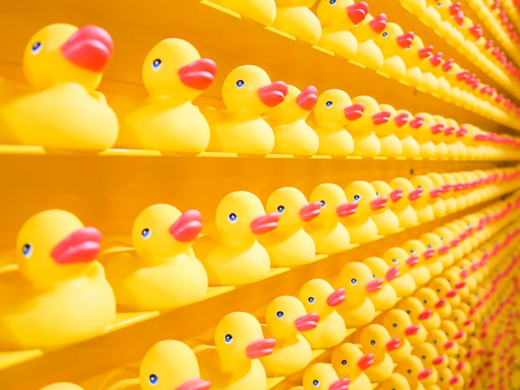 le Retail Hybride : le pari de l'instagrammable ?